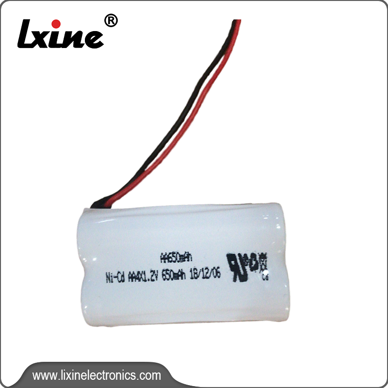 D-AA 650mAh 4.8V