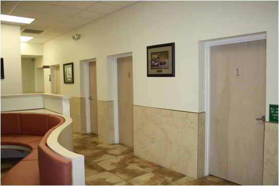 UL Dual Head Emergency Light LX-680 WB (4)